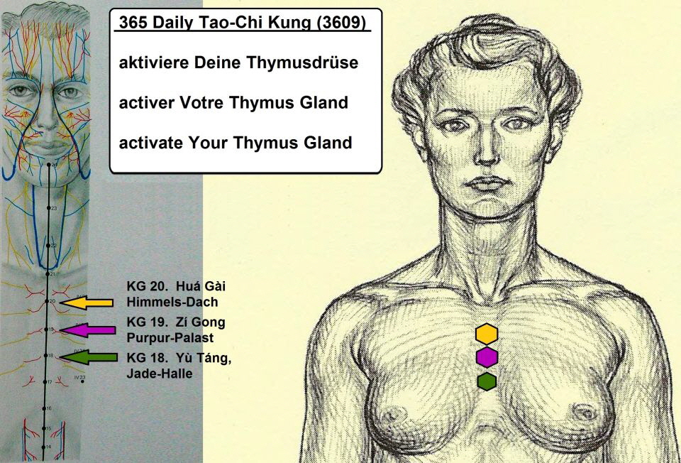 -365-Activate-the-Thymus-Gland-KG-18-19-20_Jade-Halle_Purpur-Palast_Himmels-Dach-960-652
