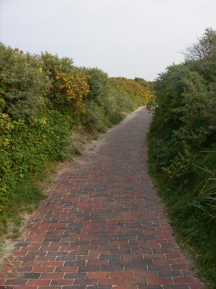 relax Your mind, tao hei�t, einem Weg folgen. aus unserem Bilderbuch, ... Sonnenuntergang am Meer ...