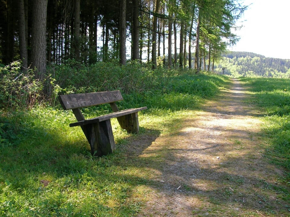 Rastplatz ... ein Platz zum Rasten ... relax Your mind ...