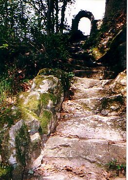 Auf dem Weg : Übungen im Tao-Chi