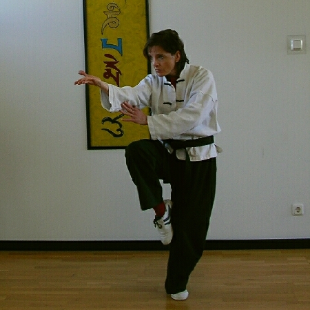 Baguazhang - das Acht-Trigramme-Boxen
