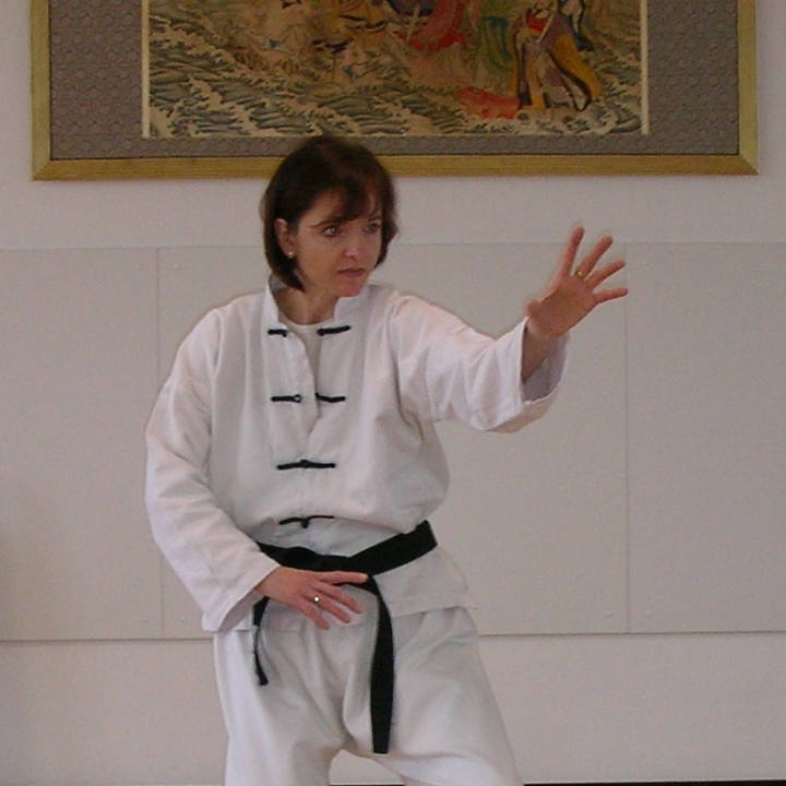 Hsing-I, oder Xing-Yi-Quan gilt als die älteste der inneren Kampfkünste. 