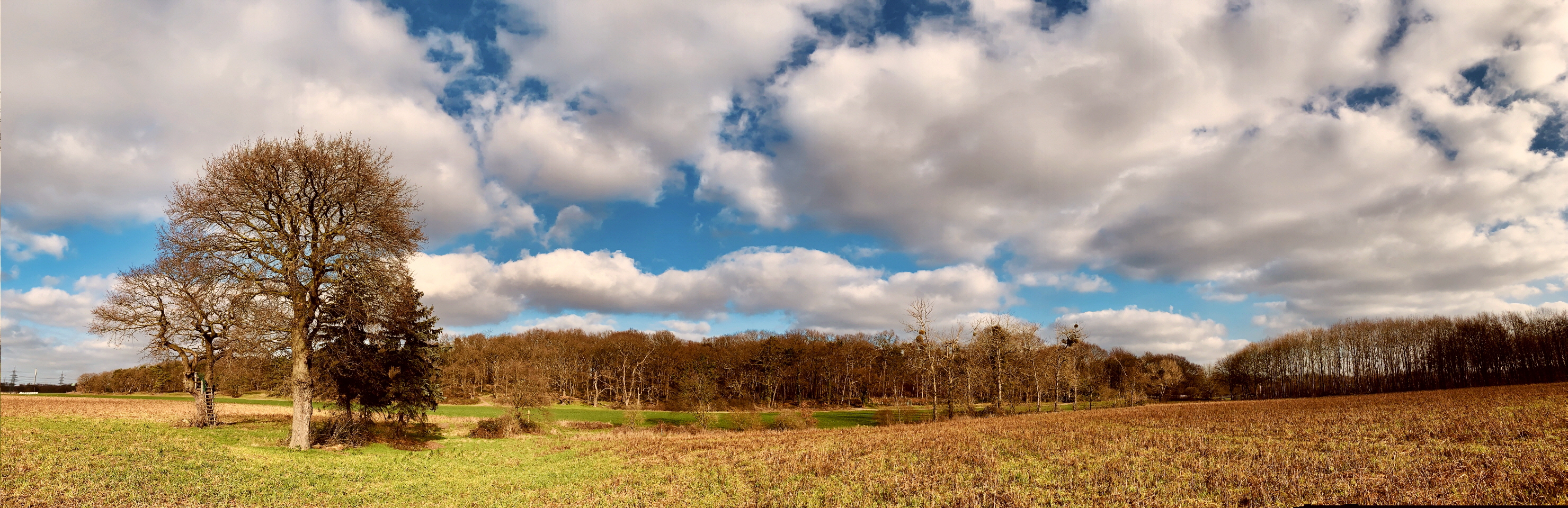 Panorama-2960x960-Heidberg 2020 (2170)