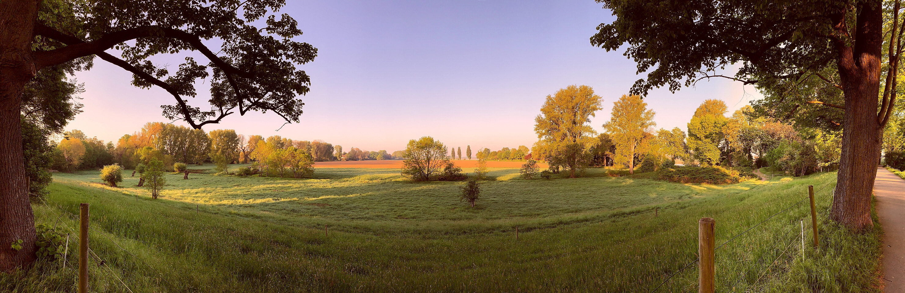 Panorama-2960x960_Kaiserswerth, Rhine Meadows, the early Bird catches the Worm (3264)