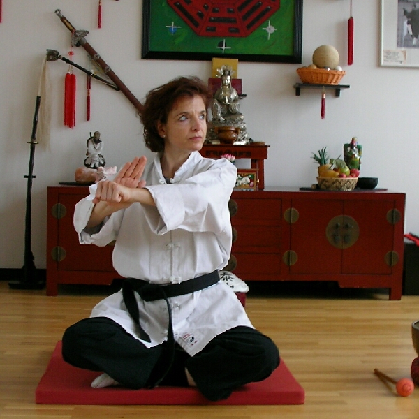 Frühling, Sommer, Herbst und Winter. Qigong. Energie, Gleichgewicht und Harmonie das ganze Jahr mit den 24 Übungen  des Tao-Chi-Kung