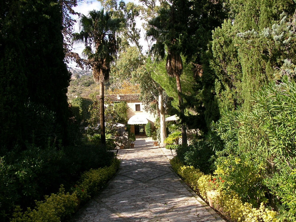 im Kloster-Garten ...