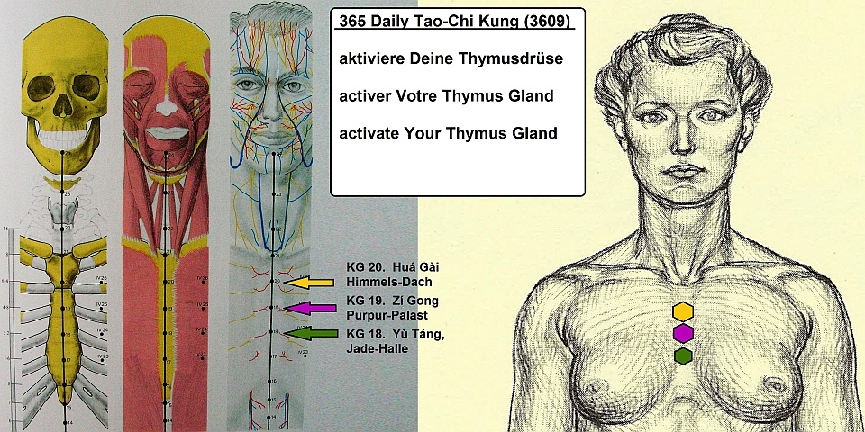 #365 Activate the Thymus Gland KG-18-19-20_Jade-Halle_Purpur-Palast_Himmels-Dach 960x480