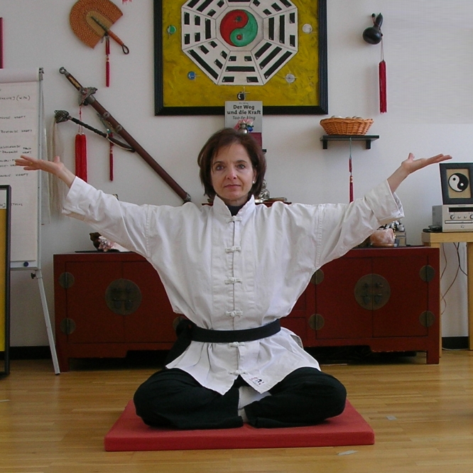 Frühling, Sommer, Herbst und Winter. Qigong. Energie, Gleichgewicht und Harmonie das ganze Jahr mit den 24 Übungen  des Tao-Chi-Kung