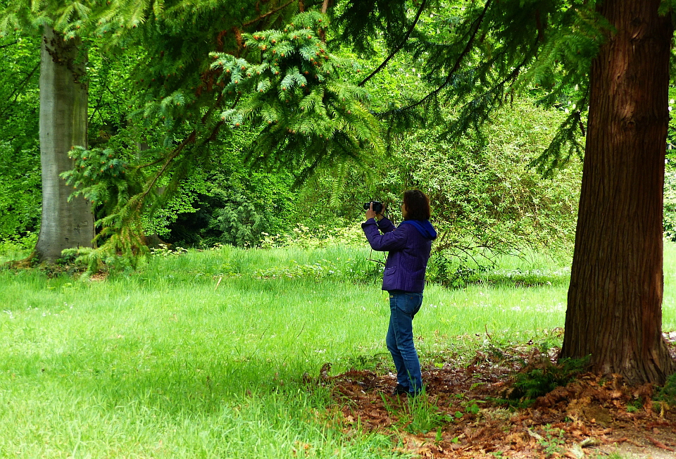 #Heike in the Palace Grounds Heltorf, May 2020, a Tree Lover with Her Camera 960