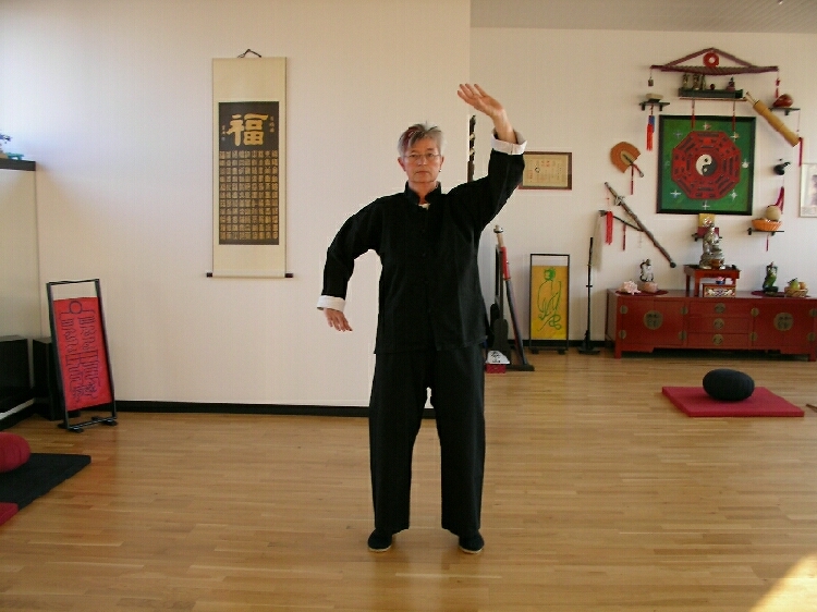 Anne Bolten. Taiji Qigong - �bungen des medizinischen Qi-Gong