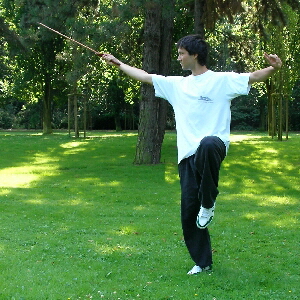 Shen Tao Chi - Meditation & Schwertkampfkünste im Tao-Chi