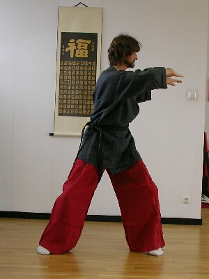 Taijiquan [Tai-Chi Ch'uan] - Kampfkunst und Heilgymnastik, Meditation und Philosophie im Tao-Chi