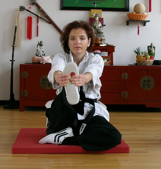 Tao-Chi-Kung .  Kultivierungs-�bungen aus dem Qigong.  Chinesische Atemschule und Heilgymnastik, Energiearbeit und Meditation Die 24 Kalender-�bungen der Meister vom Rad der Zeit 