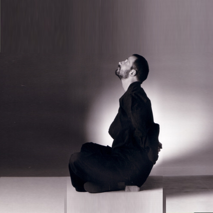 Tao-Chi-Kung - Wege zu Gleichgewicht und Harmonie, innere Kraft aufbauen - Chinesische Atemschule und Heilgymnastik, Energiearbeit und Meditation im Tao-Chi