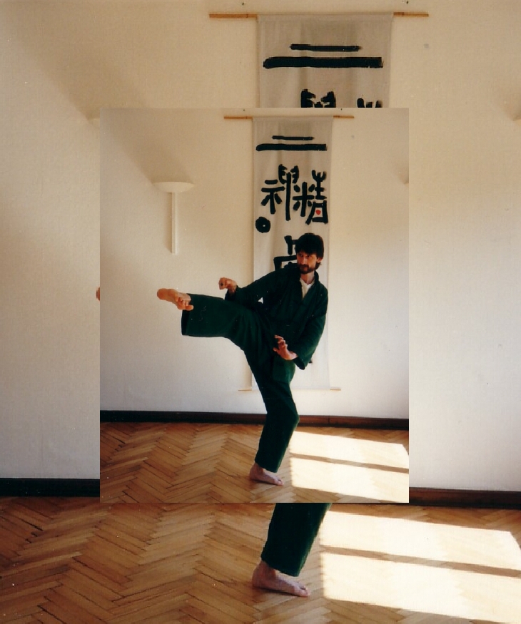Kung-Fu im Tao-Chi . Kampfkunst und Meditation, Energiearbeit und Philosophie