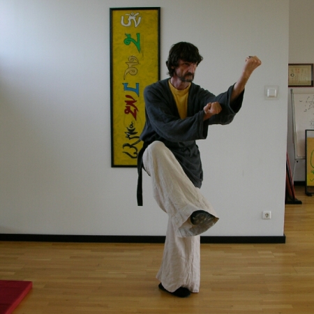  Hsing-I [Xingyiquan] , das 5-Elemenet-Boxen   - Bilder aus der Form der Wudang-Schule