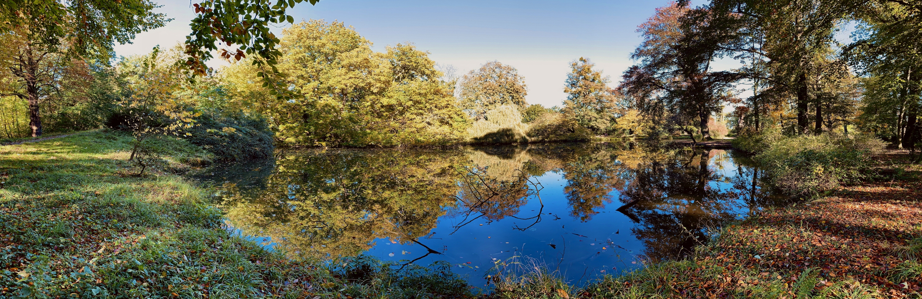 Panorama-2960x960_Schlosspark Heltorf, der See im Oktober, Panoramic View