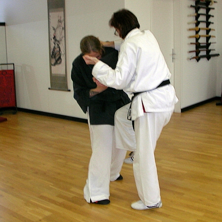 Pockecks, Partnertraining im Shaolin-Kung-Fu (180) 450Q