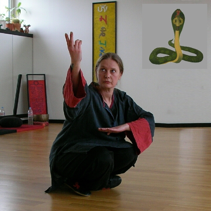 Kung-Fu-im-Schlangenstil_Anja_die-Lange-Form-05-02-720Qplus