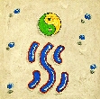 shui - Kalligraphie dere Wandlungsphase des Wassers