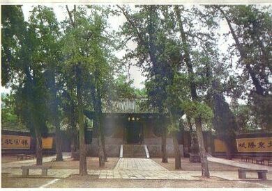 Shaolin-Tempel Honan. Die Wurzeln der chinesischen Kampfkünste nach dem Shaolin-System. Unsere Bilder