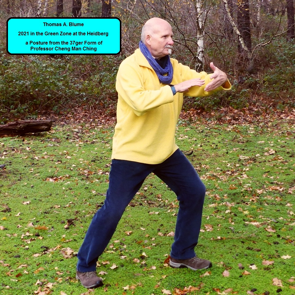 Tai-Chi-Chuan, outdoor - Thomas A Blume 37ger Form am Heidberg (1130672) 960Q (en)