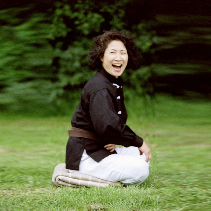 Tao, Meditation und Übungen im Tao-Chi, seit 1988 die Schule für Kung-Fu und Tai-Chi, Qigong und Meditation in Duisburg Neudorf . Schwertkampfkunst . Kurse . Seminare . Workshops .
