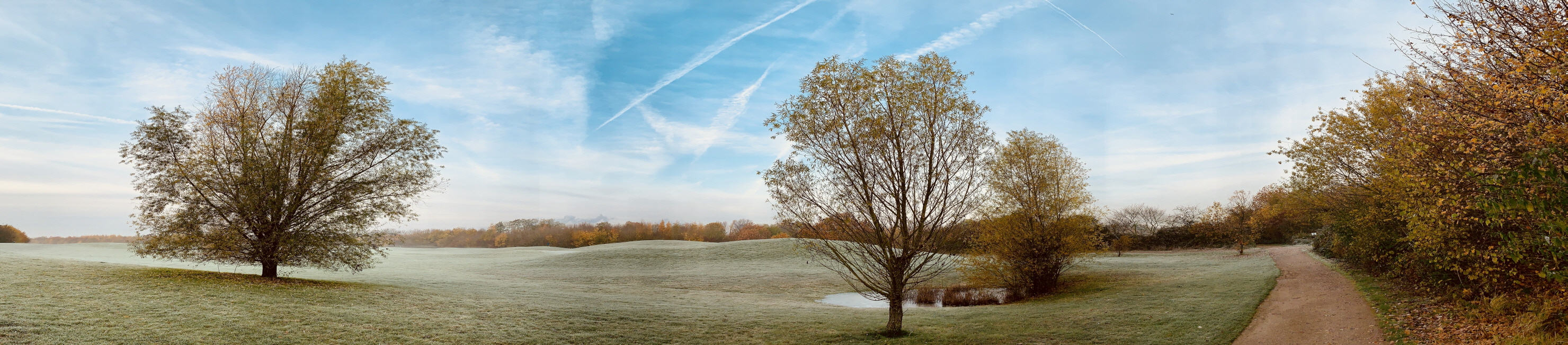 WinterTrees_E8690(13)_2960x652