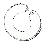 tao, der Weg im Symbol des Kreises . Das Dojo - Ort der Weg-Übungen
