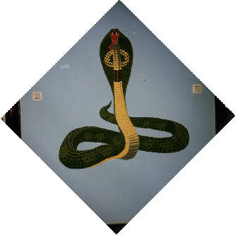 Die Schlange. Eine Wandmalerei von Thomas A. Blume