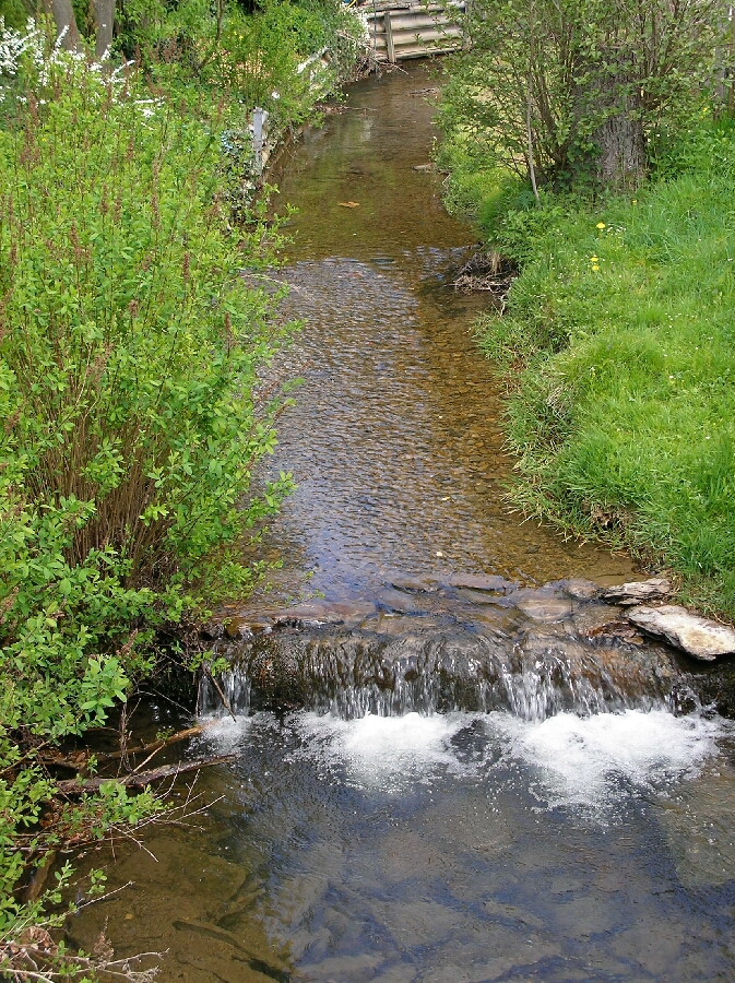 chi [qi] muß fließen, wie das Wasser im Fluß ...
