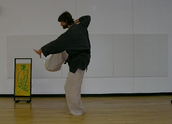 Bilder aus den Drachenformen des Wuxing Gong der Wudang-Schule