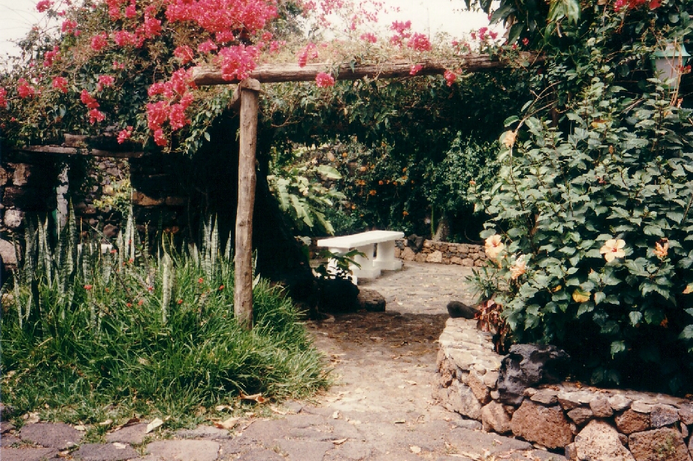 Meditation ist wie der kleine Urlaub zwischendurch. Aus unserem Bilderalbum ... unterwegs sein im südlichen Blütenland ...