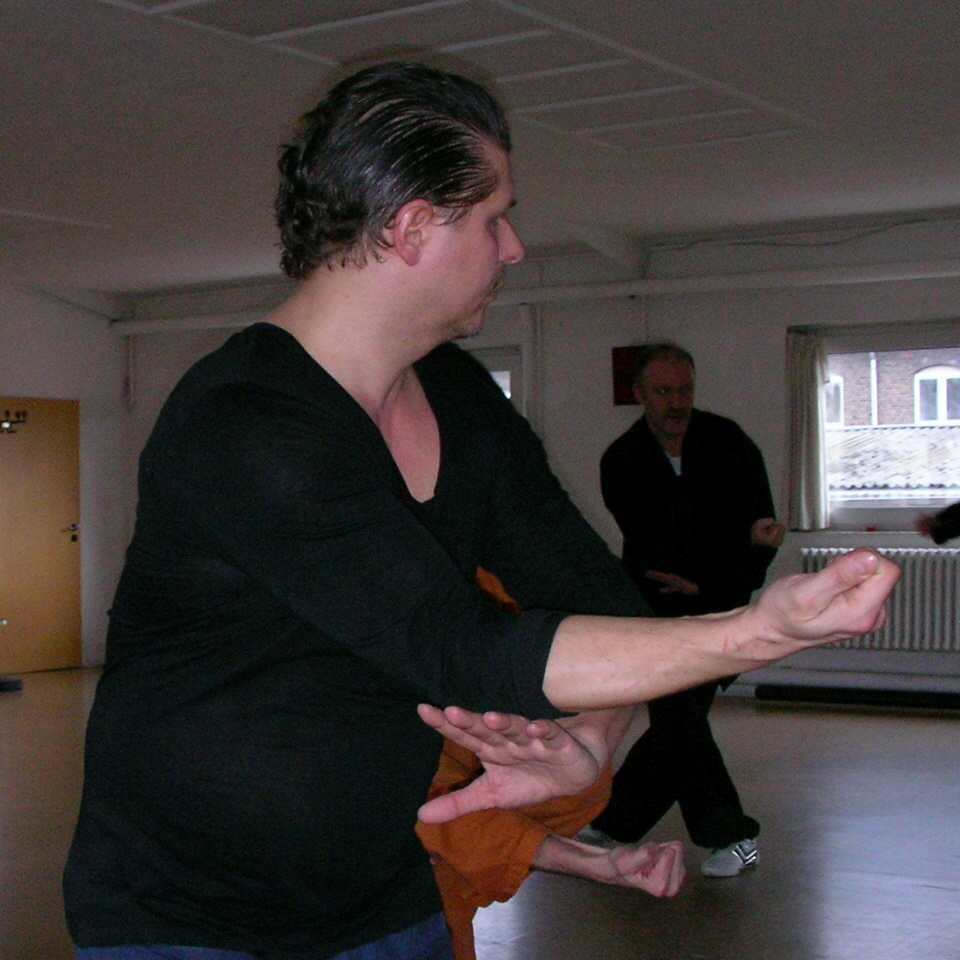 HSING-I, Olaf Rolving Seminar mit Wudang-Meister Yuan Limin in Duisburg (0070) 960Q