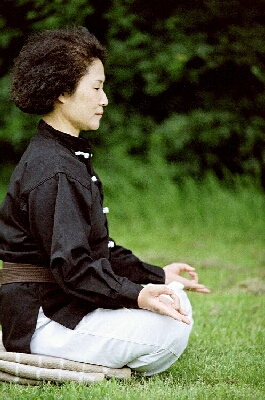 Mudras - Die Drei Geheimnisse der Konzentrations- und Meditations-Praxis