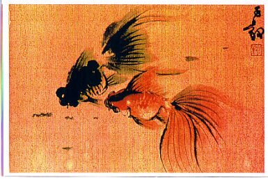 Wasser. das Lebenselement (Essenz) der Fische. Gutes Feng-Shui