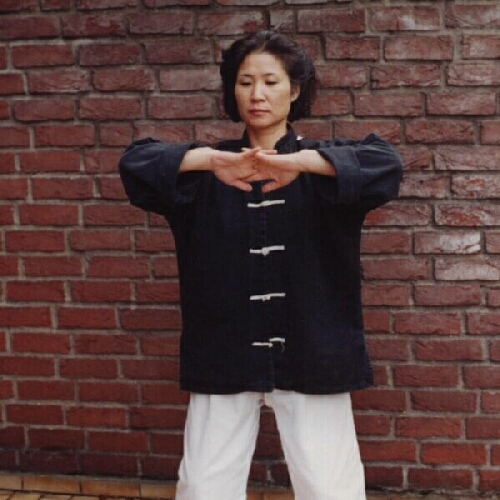 Qigong, auch Daoyin genannt, Atemschule und Heilgymnastik, Energiearbeit und Meditation - bungen zur Pflege der persnlichen Mitte  und Entwicklung innerer Kraft