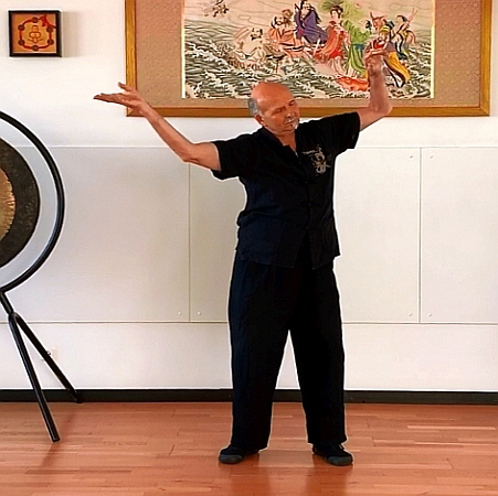 Chan Mi Qigong, Tian Zheng - Regulate Yourself (A-1) 450 Chan Mi Qigong, Tian Zheng - Regulate Yourself (A-1) 450