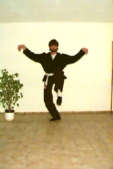 Bilder aus dem Kranich-Stil des Kung-Fu gezeigt in Wessels Keller. Kursleiter Horst T. Kuhl aus dem Dojo Duisburg