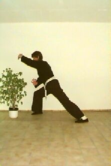 Tiger-Stil im Wesselschen Keller - das Kung-Fu des Shaolin . Kursleiter Horst T. Kuhl aus dem Dojo Duisburg